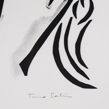 Timo Solin, Untitled.