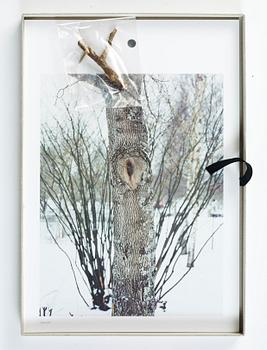 Andreas Eriksson, Almanacka 2011.