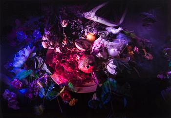 LORA DIMOVA, "DEADLY NIGHTSHADE".