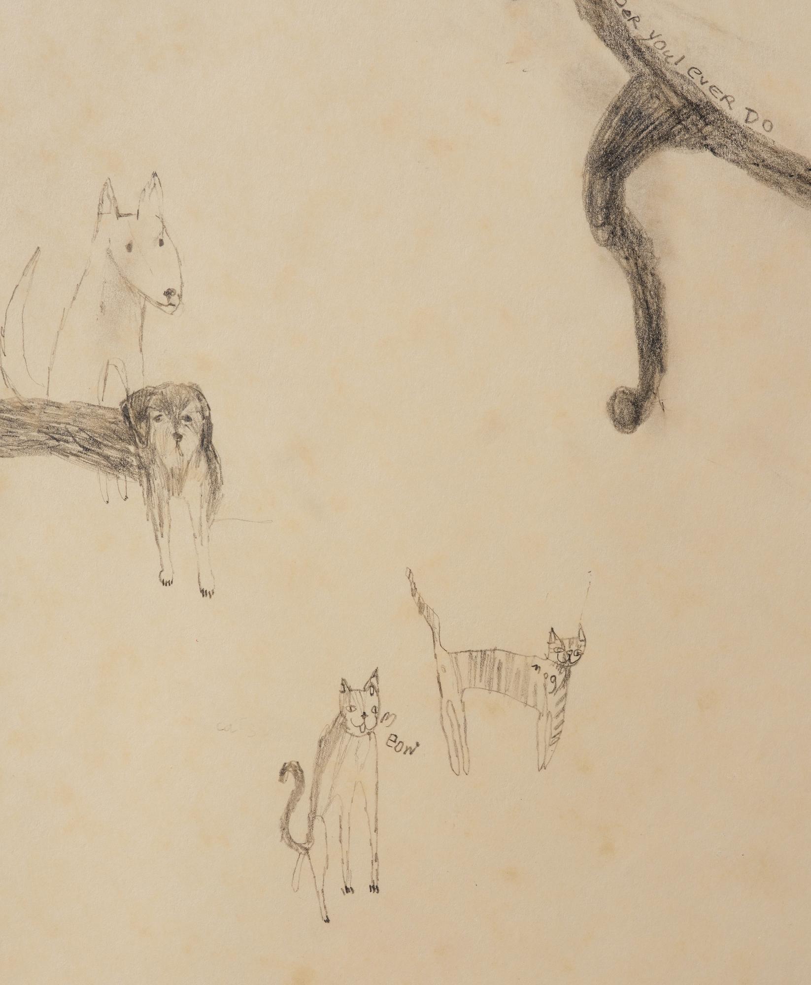 Kate Lyddon, Untitled.