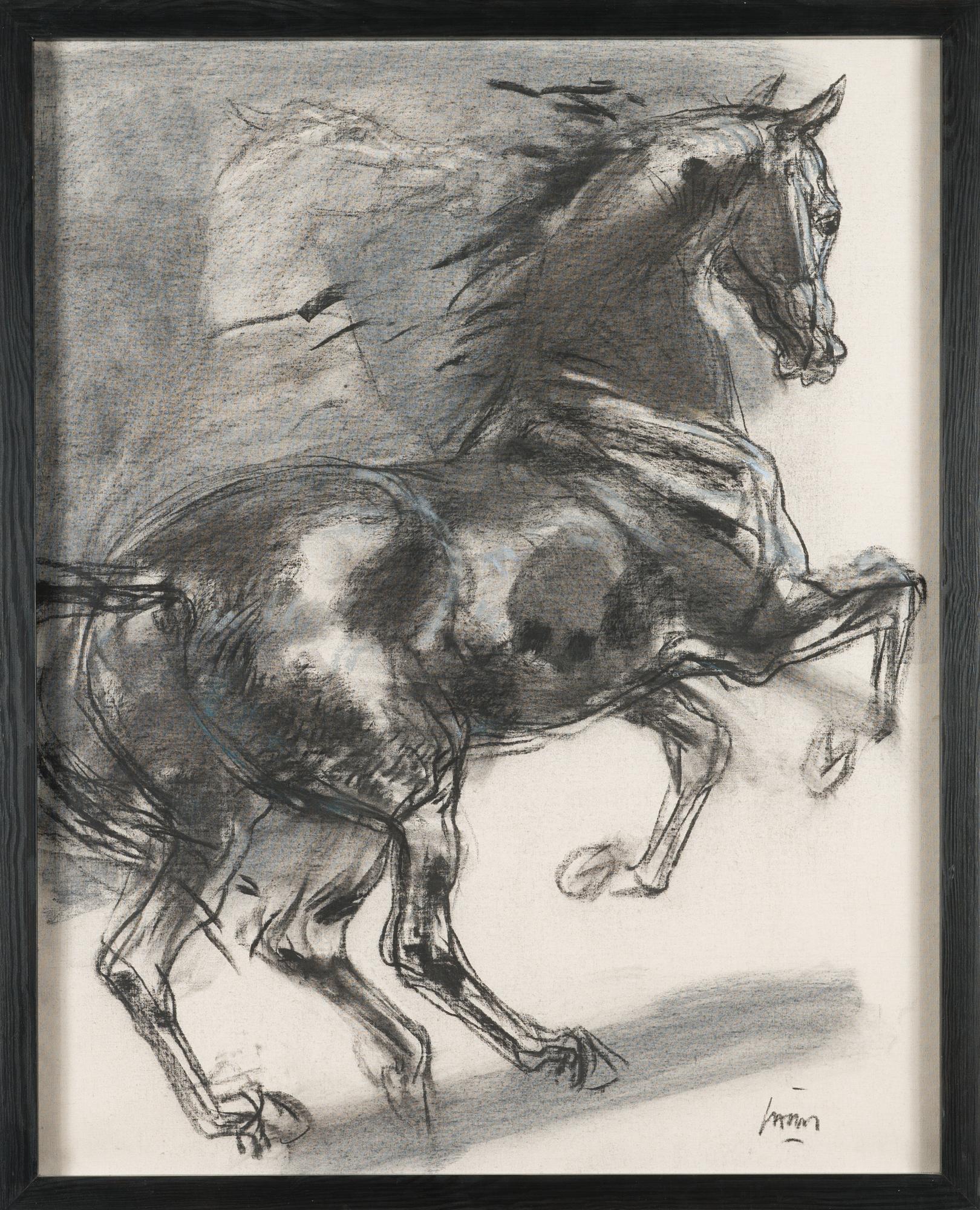 Jean-Louis Sauvat, Hevonen, crayon on canvas laid on board, signed.