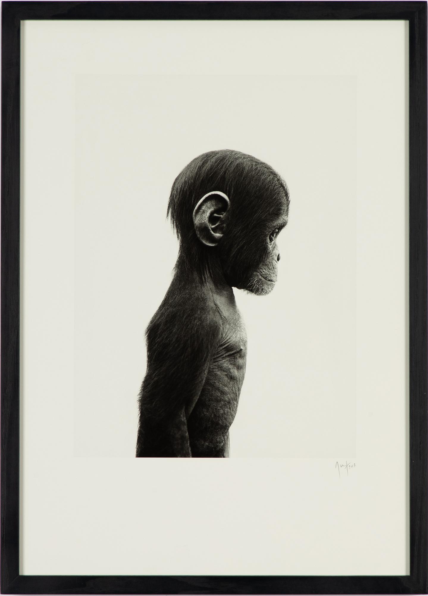 Ulf Rollof, pigment print, signerad och daterad 2013. Ed 003/100.