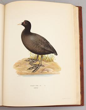 A set of three books about Swedish birds by von Wright. 1927.