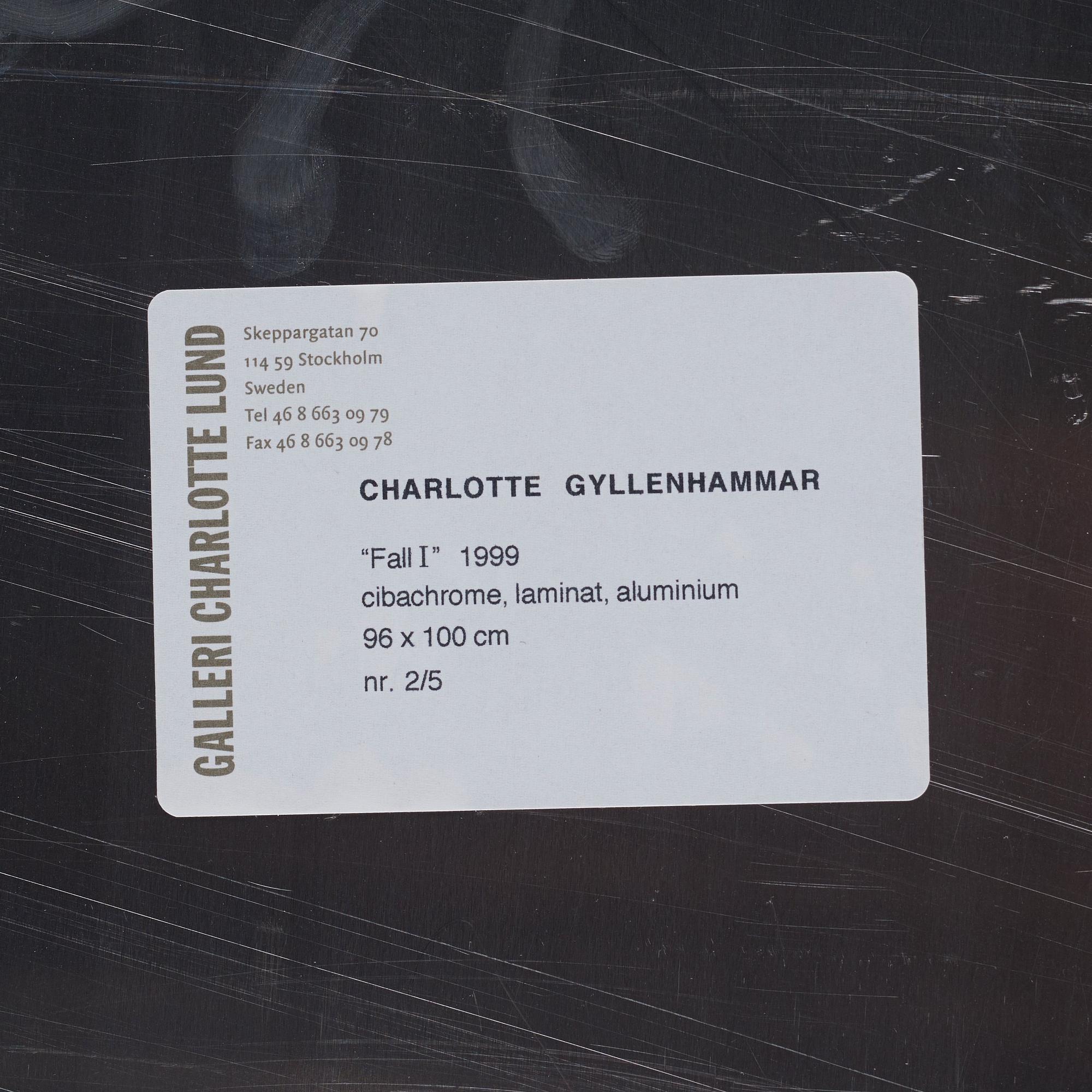 Charlotte Gyllenhammar, "Fall I", 1999.