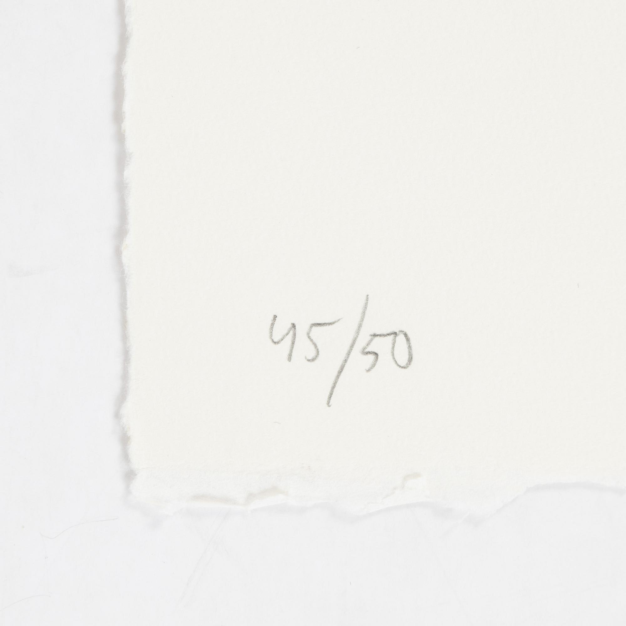 Jan Håfström, etching in colours, 2020, signed 45/50.