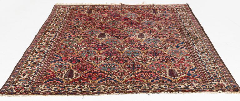 An antique/semi-antique Bakthiari carpet, c 298 x 213 cm.