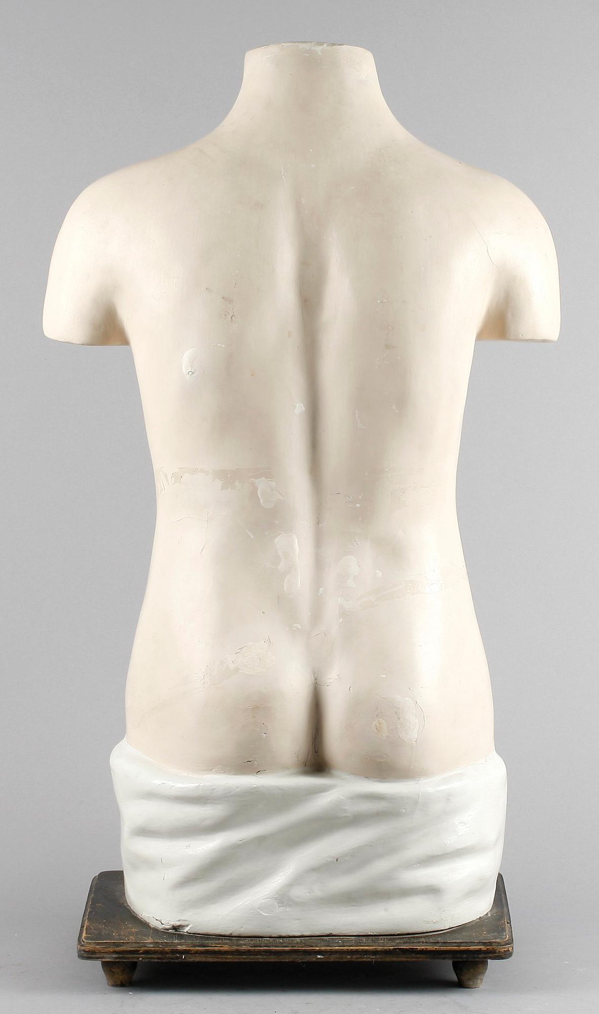 ANATOMISK TORSO, 1900-tal. Hårdplast.