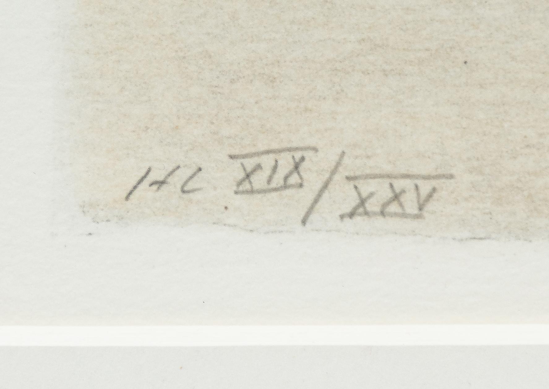 John-E Franzén, "Cadillac Fleetwood Sixty Special".