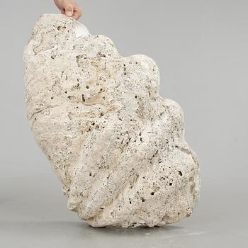 MUSSLA, fossil.