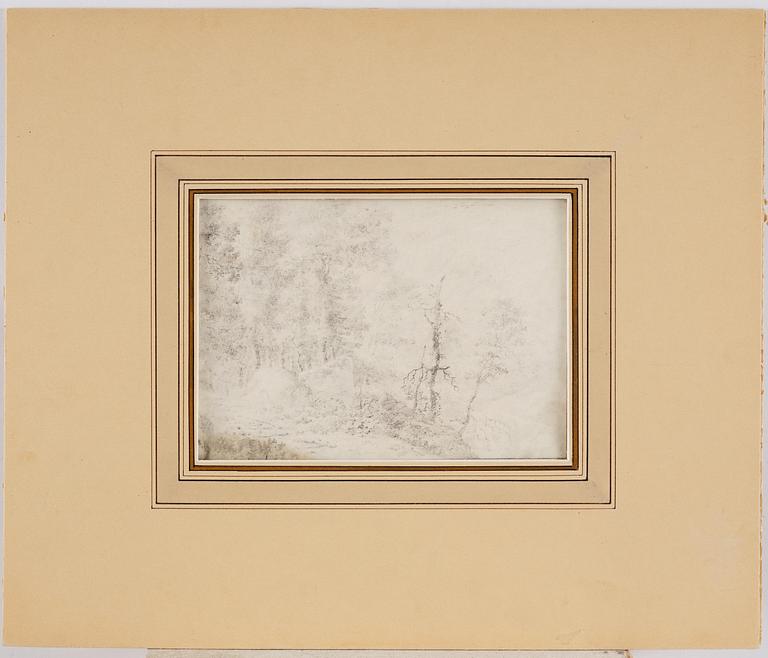 Jan Wils, Landscape with forest.