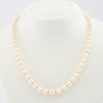 Necklace of cultured pearls, clasp 18K white gold with diamonds.