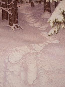 Gustaf Fjaestad, Traces in the snow.