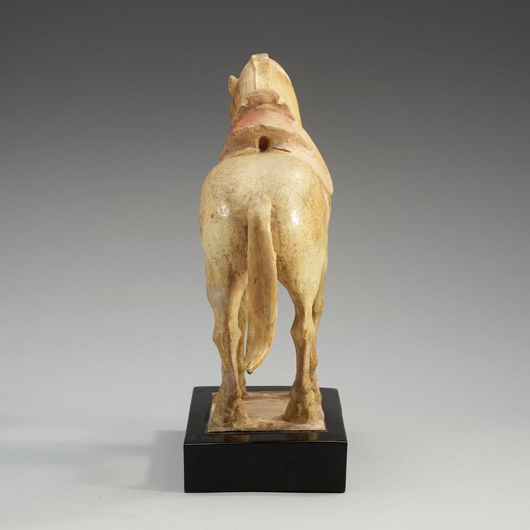 A yellow glazed pottery figure of a horze, presumably Tang dynasty (618-907).