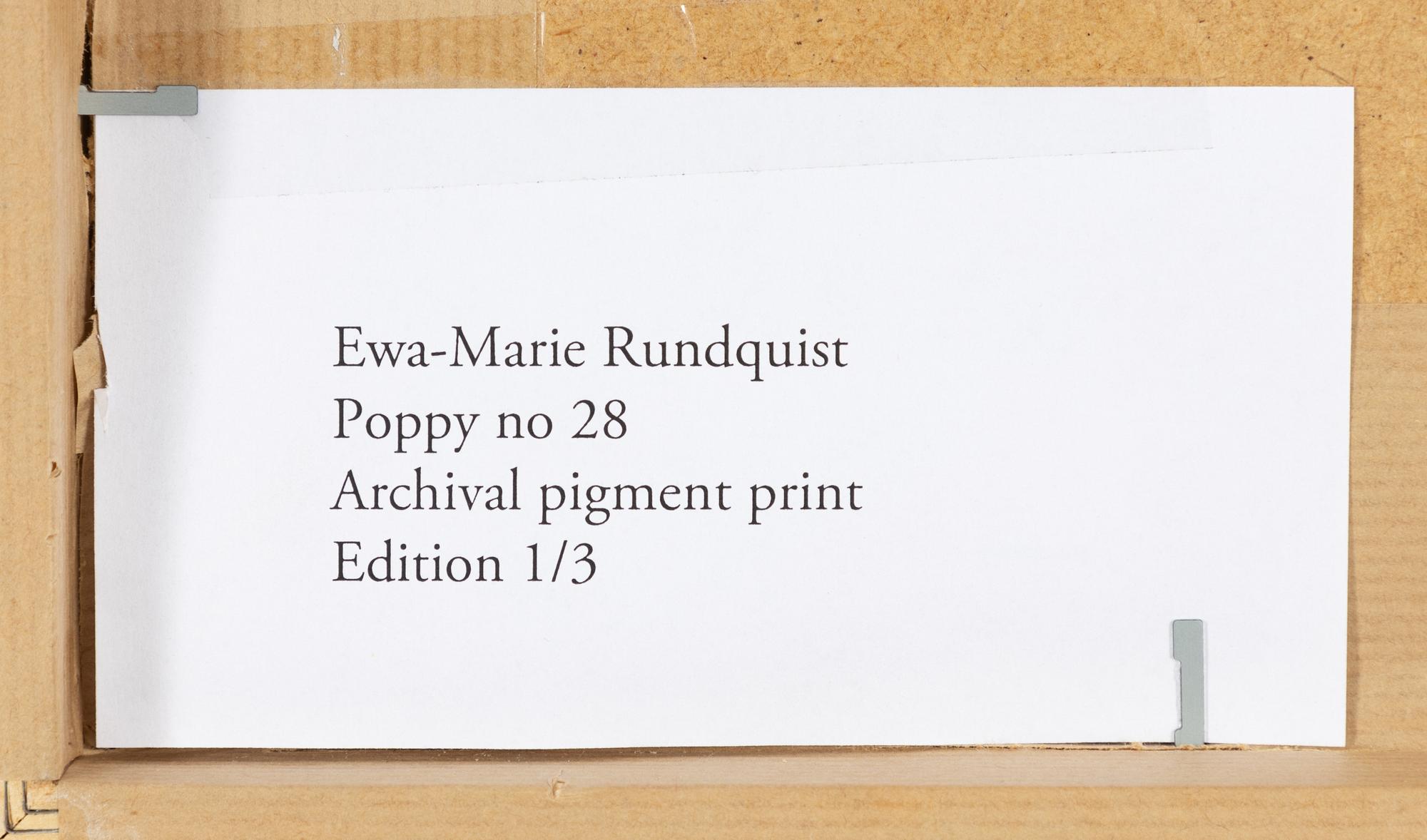 Ewa-Marie Rundquist, "Poppy No. 28", 2015.
