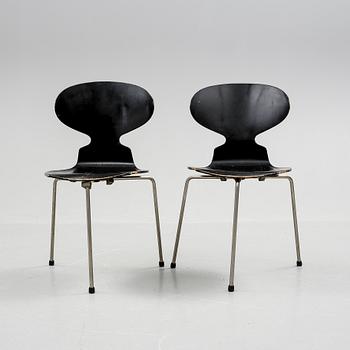 STOLAR, 2 st, "Myran", Arne Jacobsen, Fritz Hansen, 1900-talets mitt.