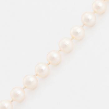A cultured pearl bracelet.