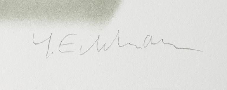 Yrjö Edelmann, "Packed blue and grey heaven".