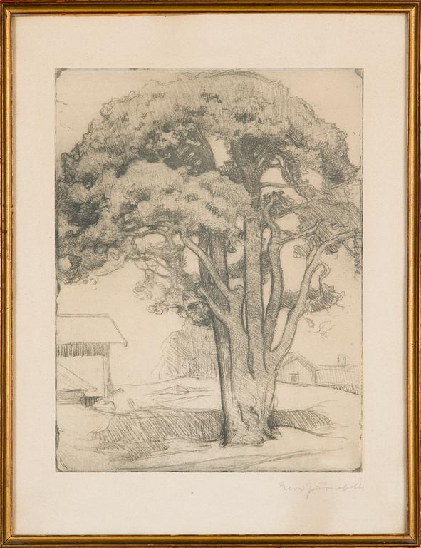 Eero Järnefelt, "Tuomalan mänty I".