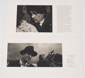 Pentti Sammallahti, "Honnos, Soittajani".