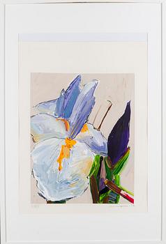 Tapani Mikkonen, "Iiris".