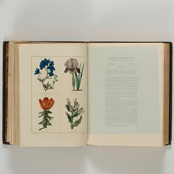 BENJAMIN MAUND (1790-1863), The Botanic Garden...plants cultivated in Great Britain.., London 1825-81.