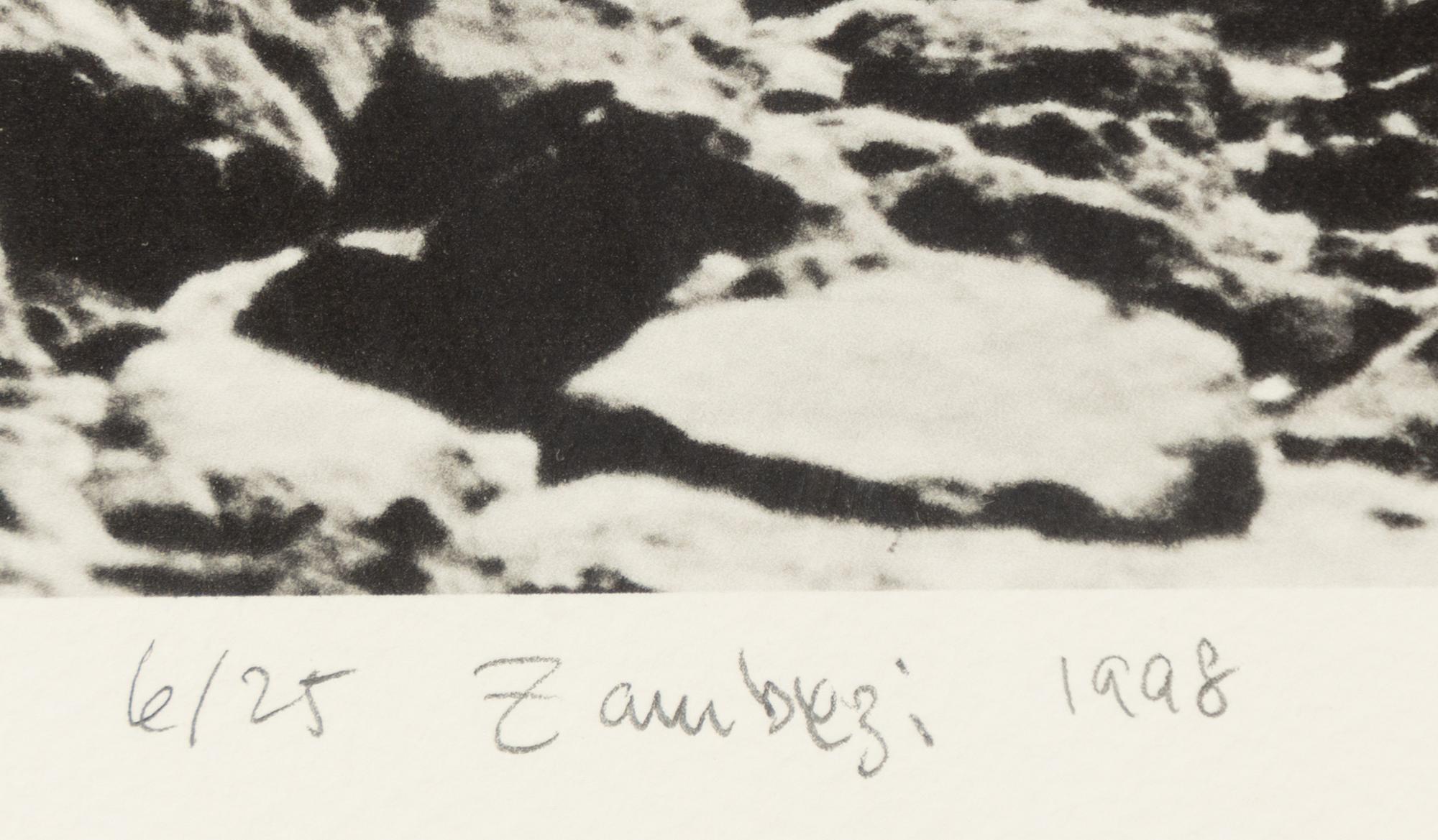 Håkan Ludwigson, "Zambesi" 1998.