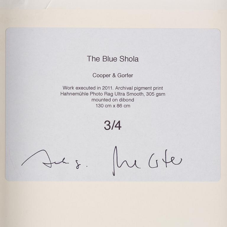 Cooper & Gorfer, "Blue Shola", 2011.