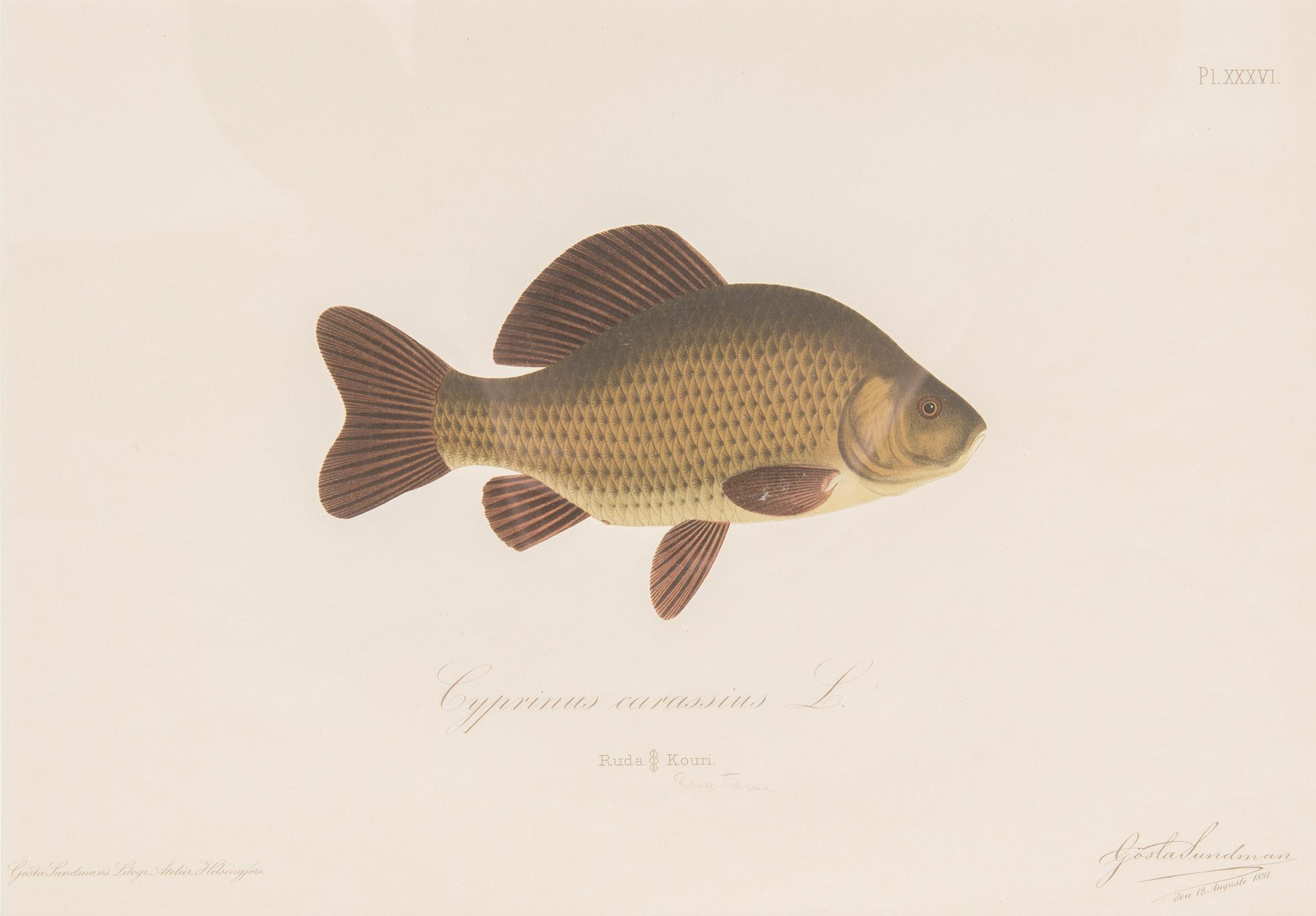 Gösta Sundman, Kromolitografiat, 3 kpl.