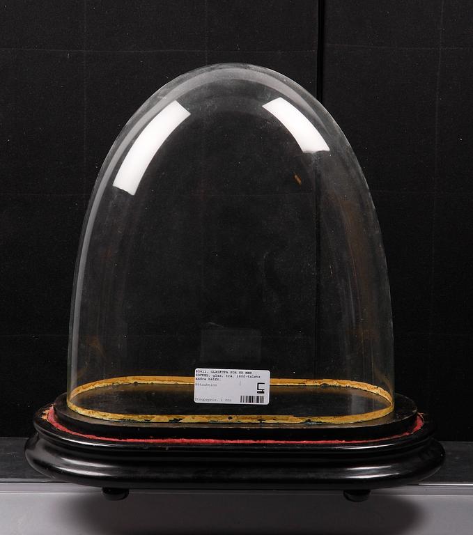 GLASKUPA FÖR UR MED SOCKEL, glas, trä, 1800-talets andra hälft.