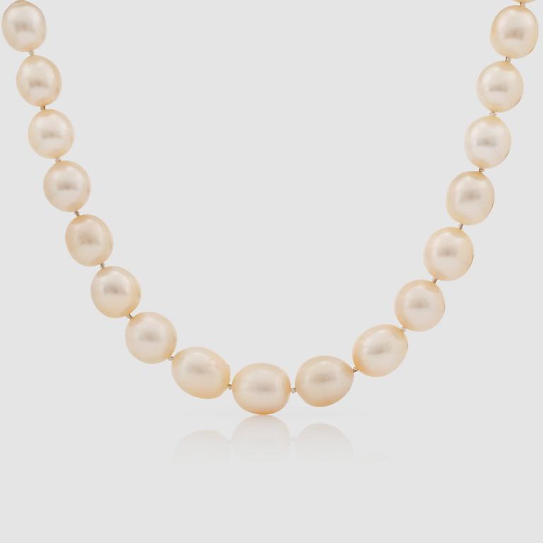 A cultured, slightly baroque, South Sea pearl necklace.