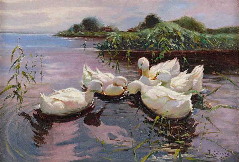 Ivar Nyberg, Cygnets.