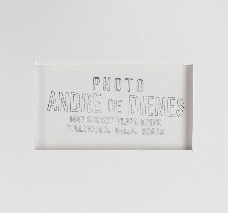 ANDRÉ DE DIENES, gelatinsilverfotografi, stämpelmärkt.