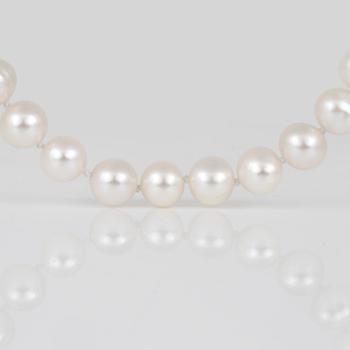 HALSBAND samt ÖRHÄNGEN, ett par, med odlade pärlor.