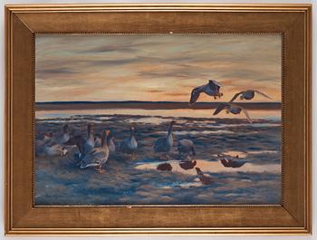 Bruno Liljefors, Flying geese.