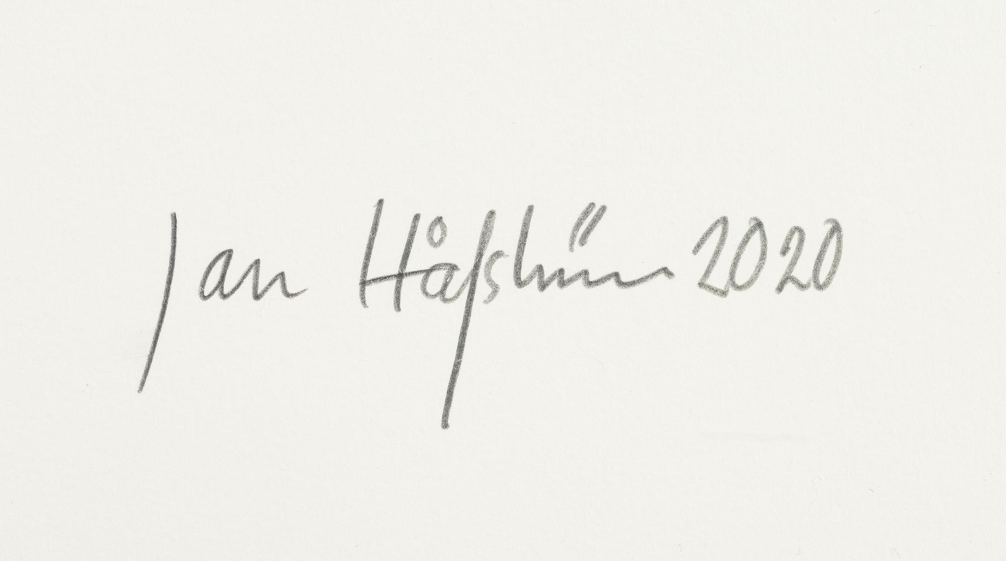 Jan Håfström, "Blue skull".