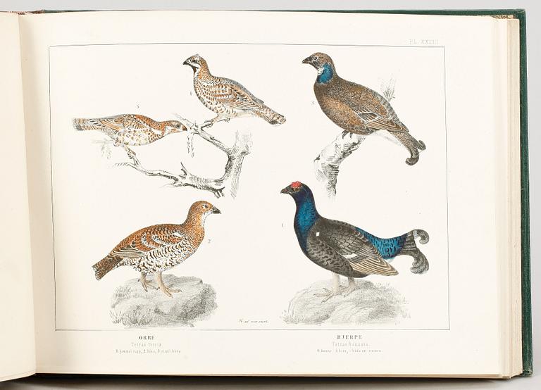 BOKVERK, 3 vol, "Svenska Foglarna" av Carl Jacob Sundevall och JGH Kinberg, Stockholm 1856-85.