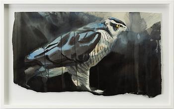 Emanuel Bernstone, Goshawk.