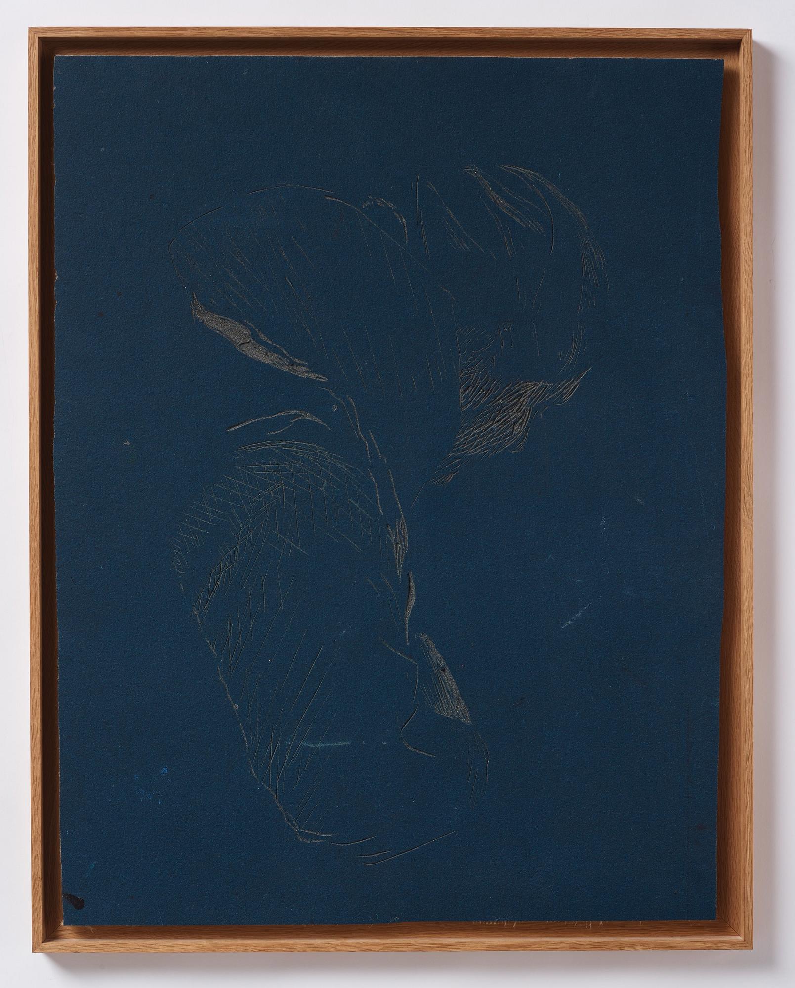 Idun Baltzersen, "Looking Down".