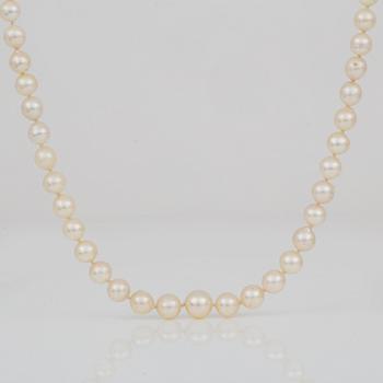 COLLIER, med odlade pärlor och lås i silver.