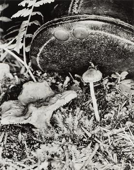 Lennart Nilsson, photograph, signed.