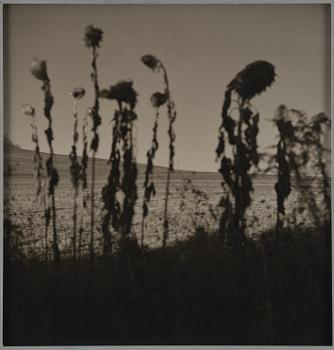 Gerry Johansson, "Sommerset. Pennsylvania", 1994.