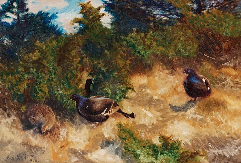 Bruno Liljefors, Grouse black cocks.