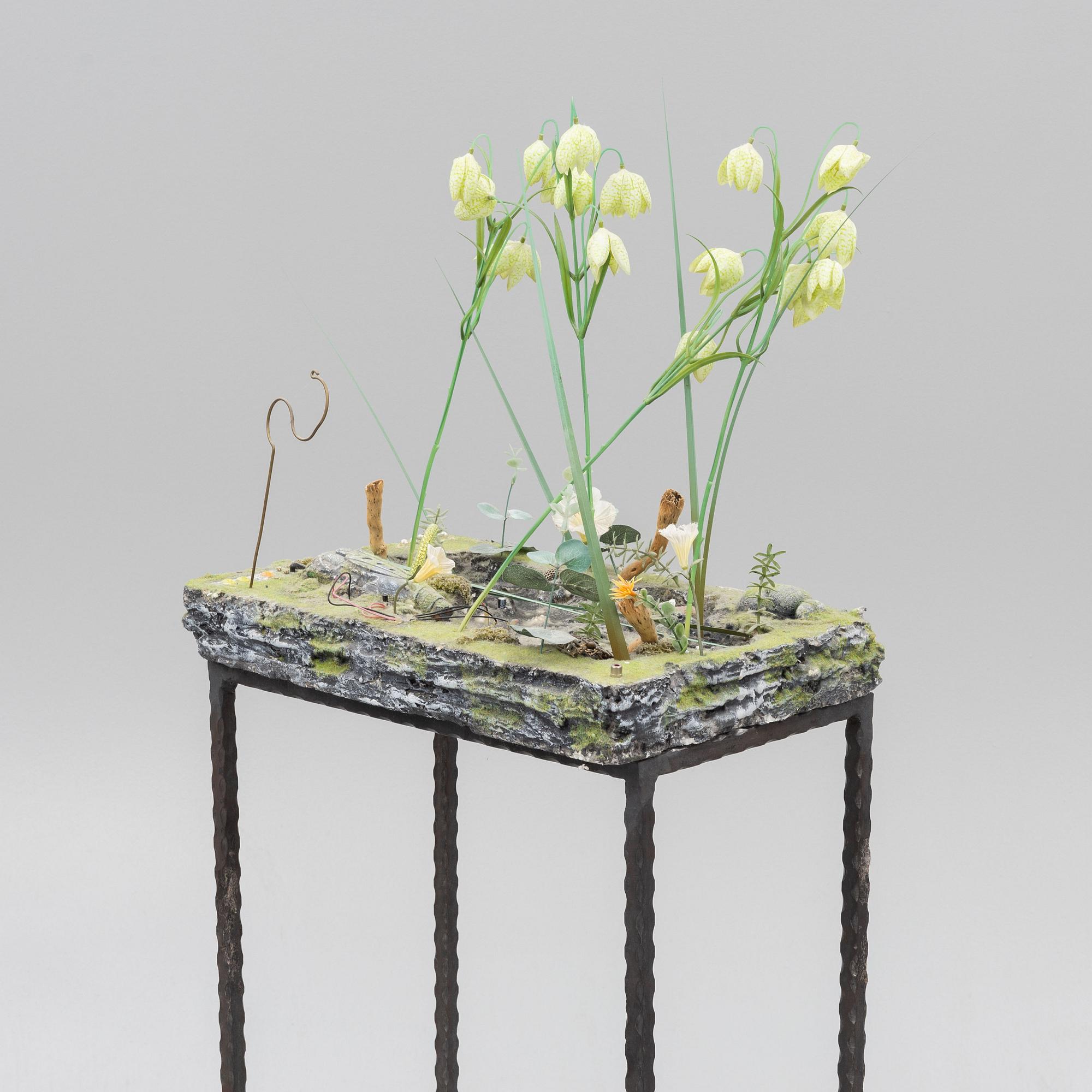 Veit Laurent Kurz, "Pond#2". (Niche Displacement Series).