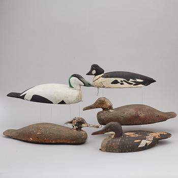 Five painted wood imitation duck, mostly first half of the 20th century.