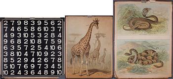 SKOLPLANSCHER, 3 st, Akademiska Bokhandeln och F. Tilgmann, Helsingfors, 1900-talets första hälft.