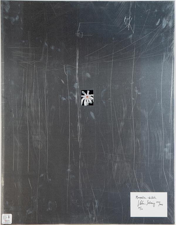 Helene Schmitz, "System och passion2, 4 c-print mounted on aluminum, 2004/2007, signed 10/10.