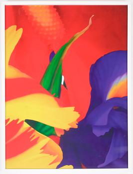 Marc Quinn · MARC QUINN, färgpigmenttryck, 2007, signerad och numrerad 51/59 a tergo, utgiven av Paragon Press, London.