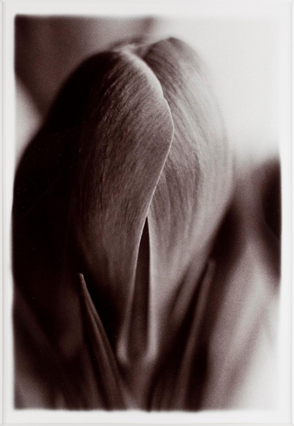 MONICA ENGLUND, Silvergelatinfotografi, sign a tergo.