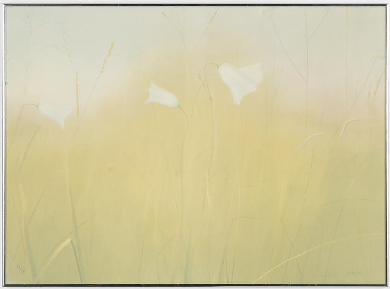 Peter Frie, lithograph, Meadow Flowers.