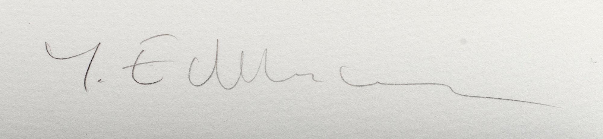 YRJÖ EDELMANN, color lithograph, signed Y Edelmann.